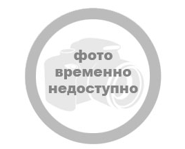 Грабцевич Анна Александровна